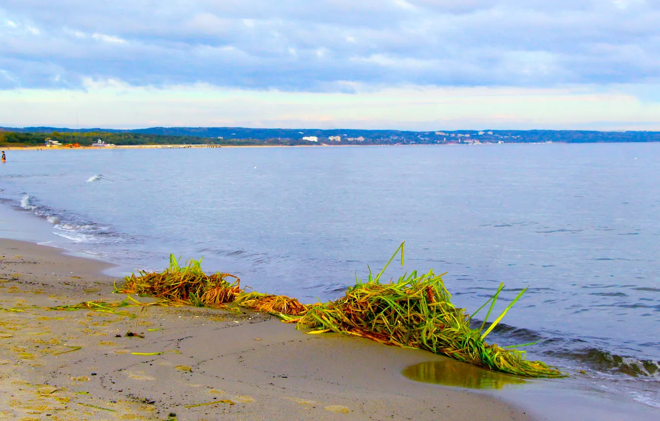 Фото обои beach, sea, water, sand