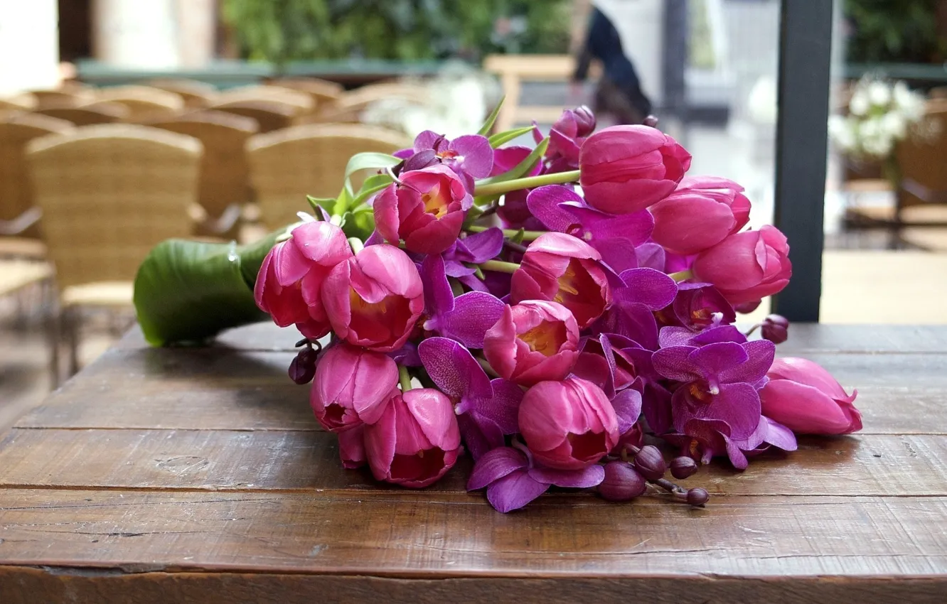 Фото обои листья, цветы, яркий, розовый, цвет, насыщенный, лепестки, тюльпаны
