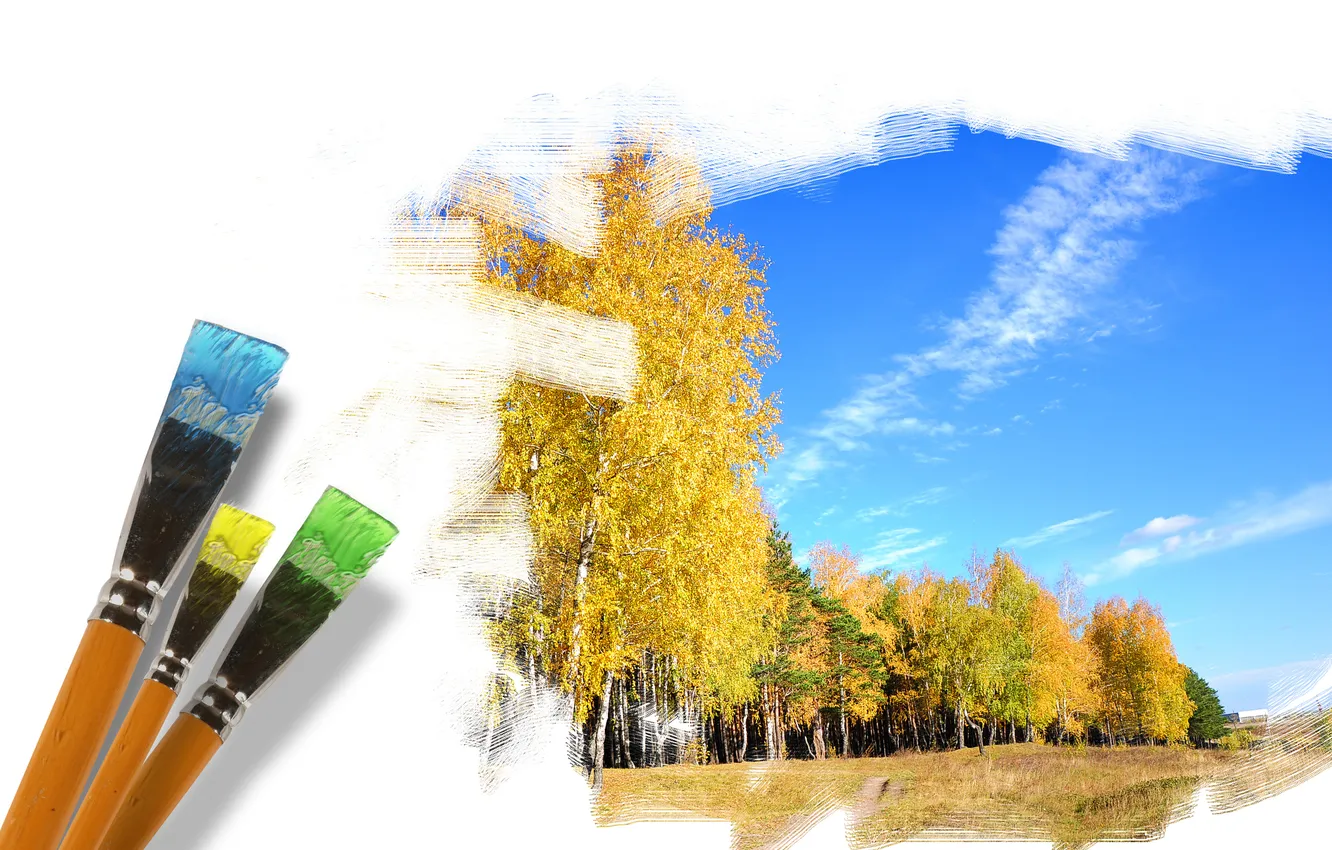 Фото обои лес, небо, деревья, рисунок, кисти, золотая осень