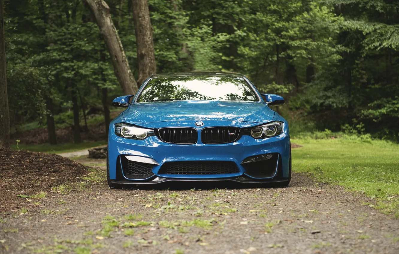 Фото обои BMW, Blue, Forest, F83