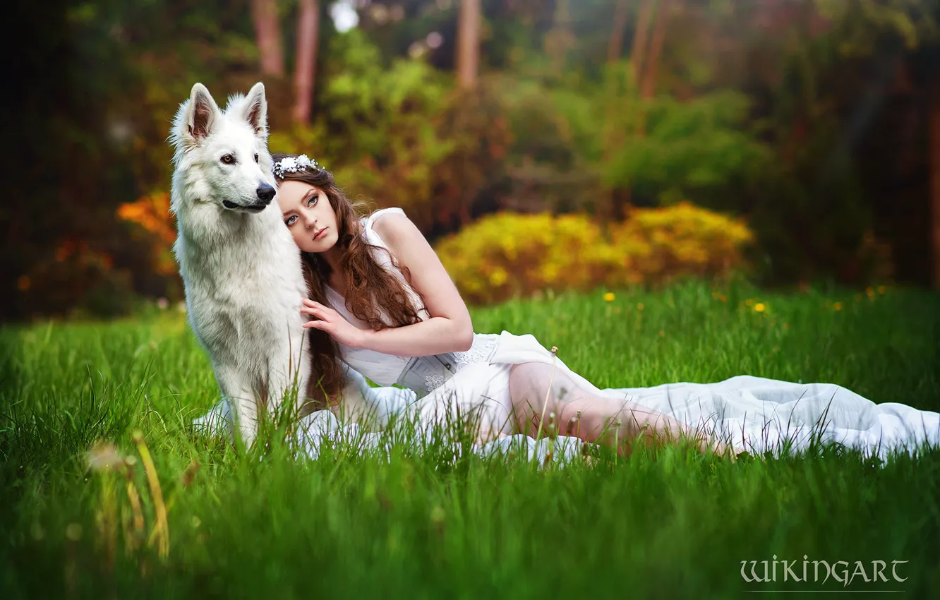 Фото обои трава, девушка, природа, поза, стиль, собака, макияж, костюм