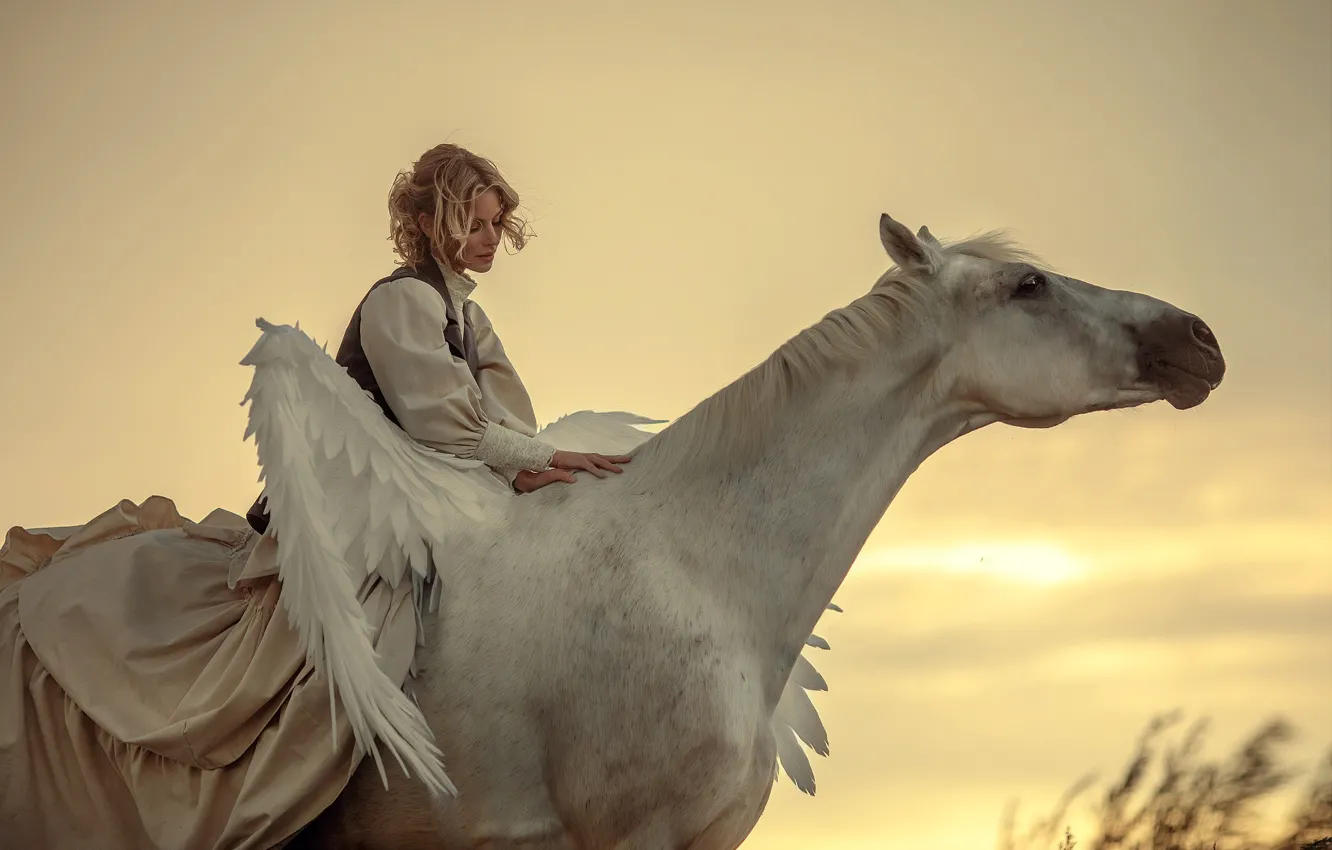 Фото обои девушка, животное, конь, крылья, блондинка, пегас, Анюта Онтикова