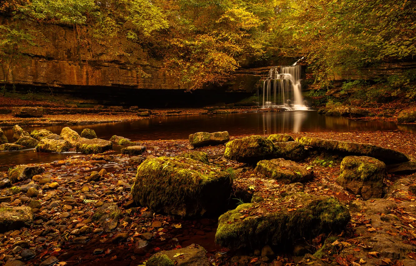 Фото обои лес, деревья, скала, ручей, камни, водопад, поток