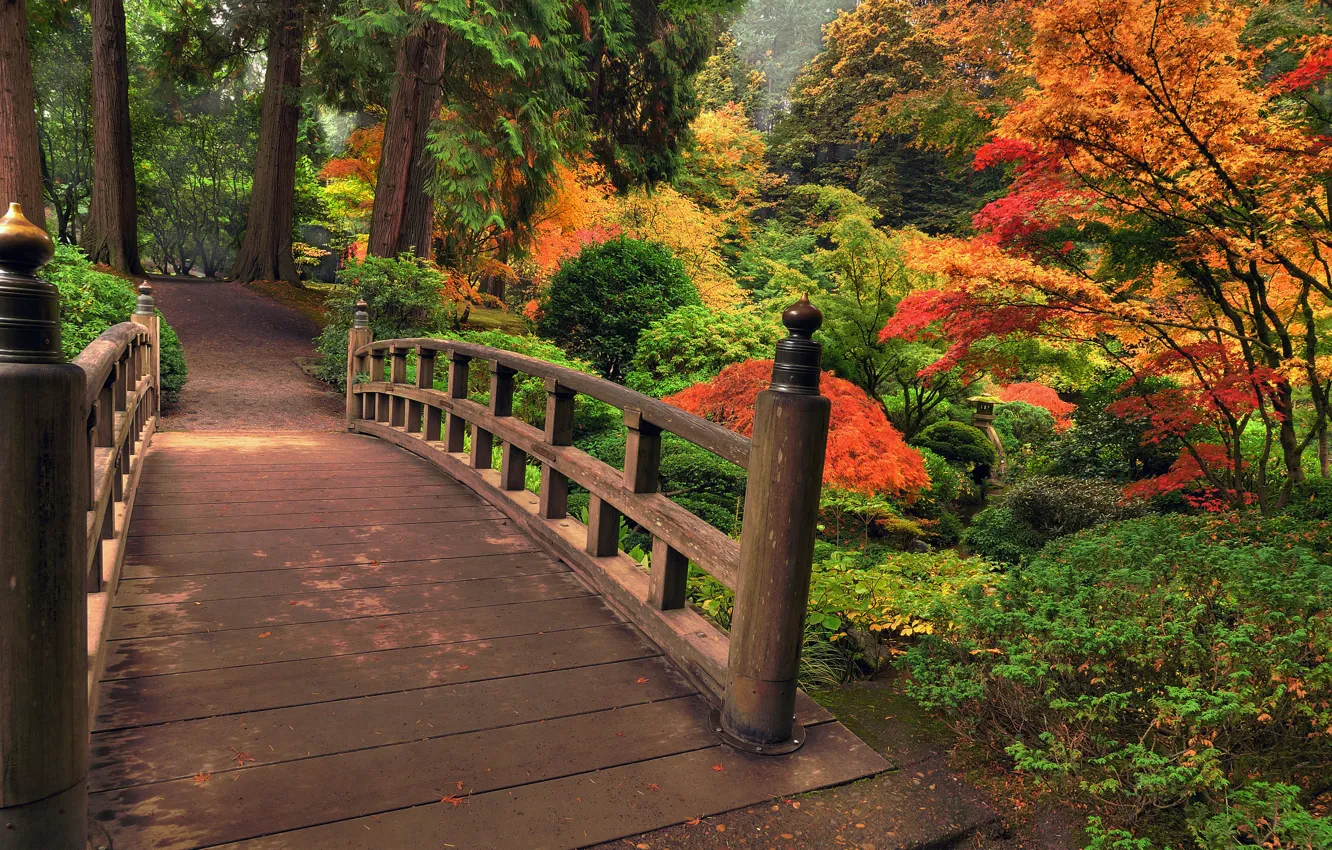 Фото обои осень, листья, деревья, цветы, мост, природа, парк, colors