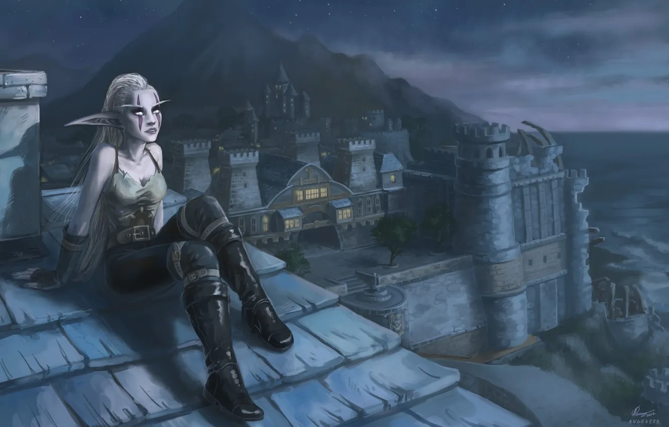 Фото обои крыша, девушка, ночь, город, арт, World of Warcraft, эльфийка, Angevere