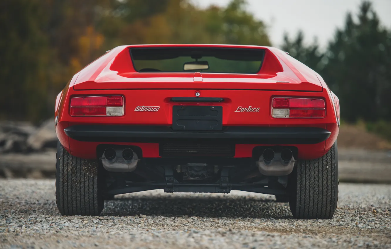 Фото обои 1974, De Tomaso, Pantera, De Tomaso Pantera L