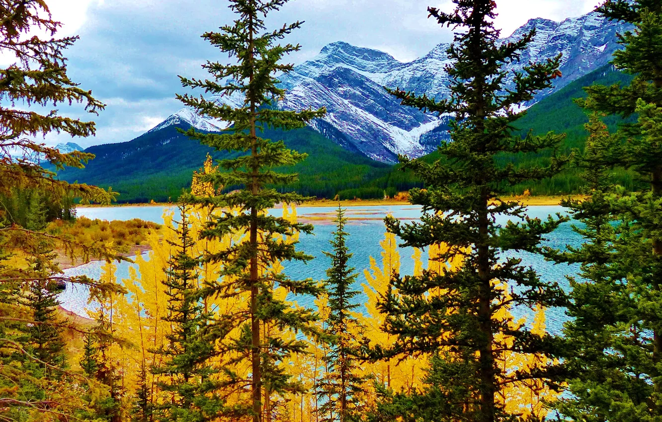 Фото обои осень, деревья, горы, озеро, Альберта, Канадав