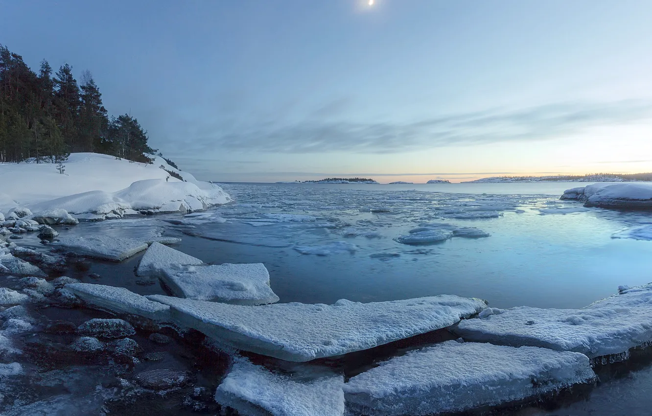 Фото обои вода, снег, деревья, Природа, льды, Ладожское озеро, Карелия