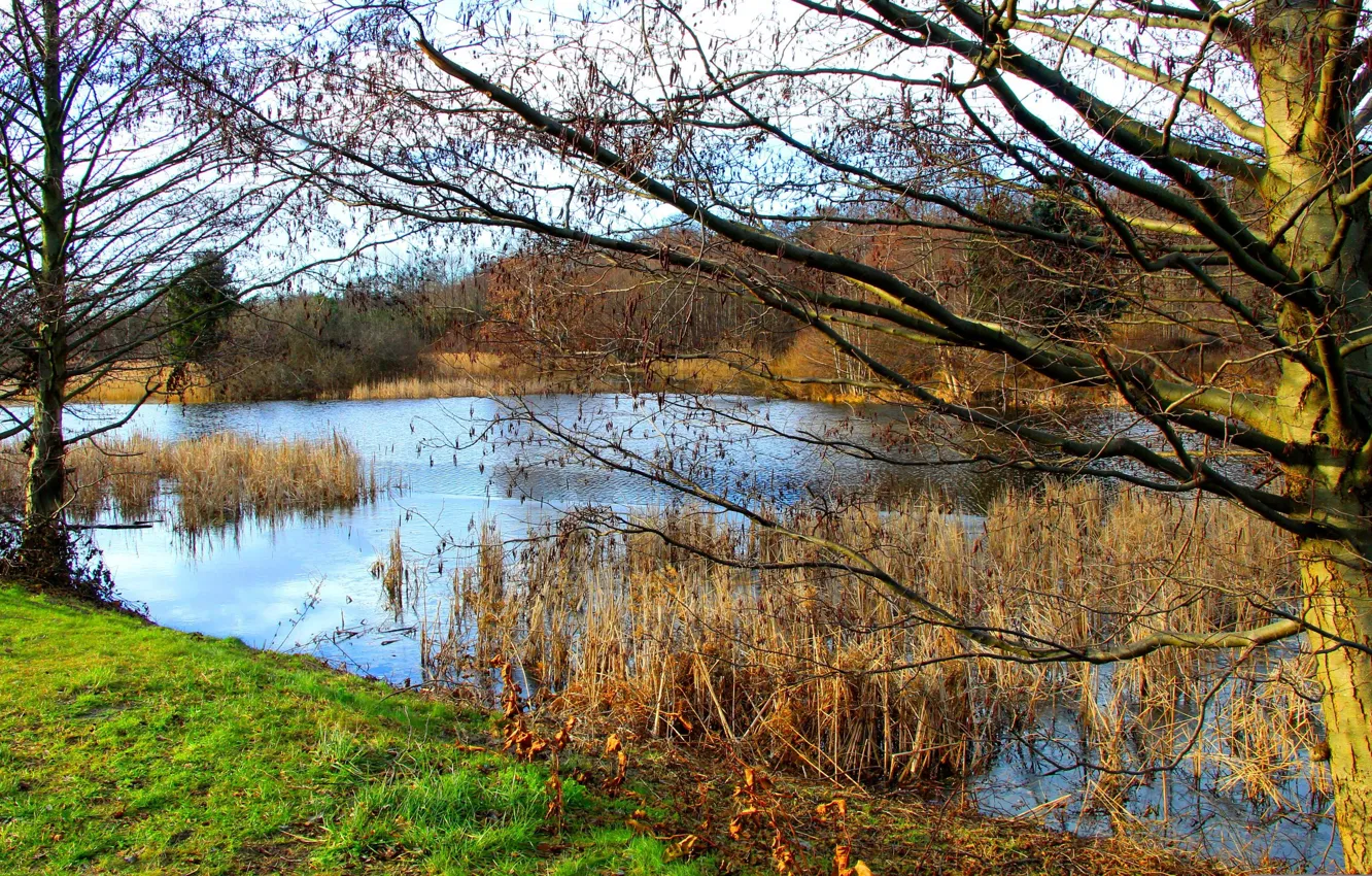Фото обои water, park, lake