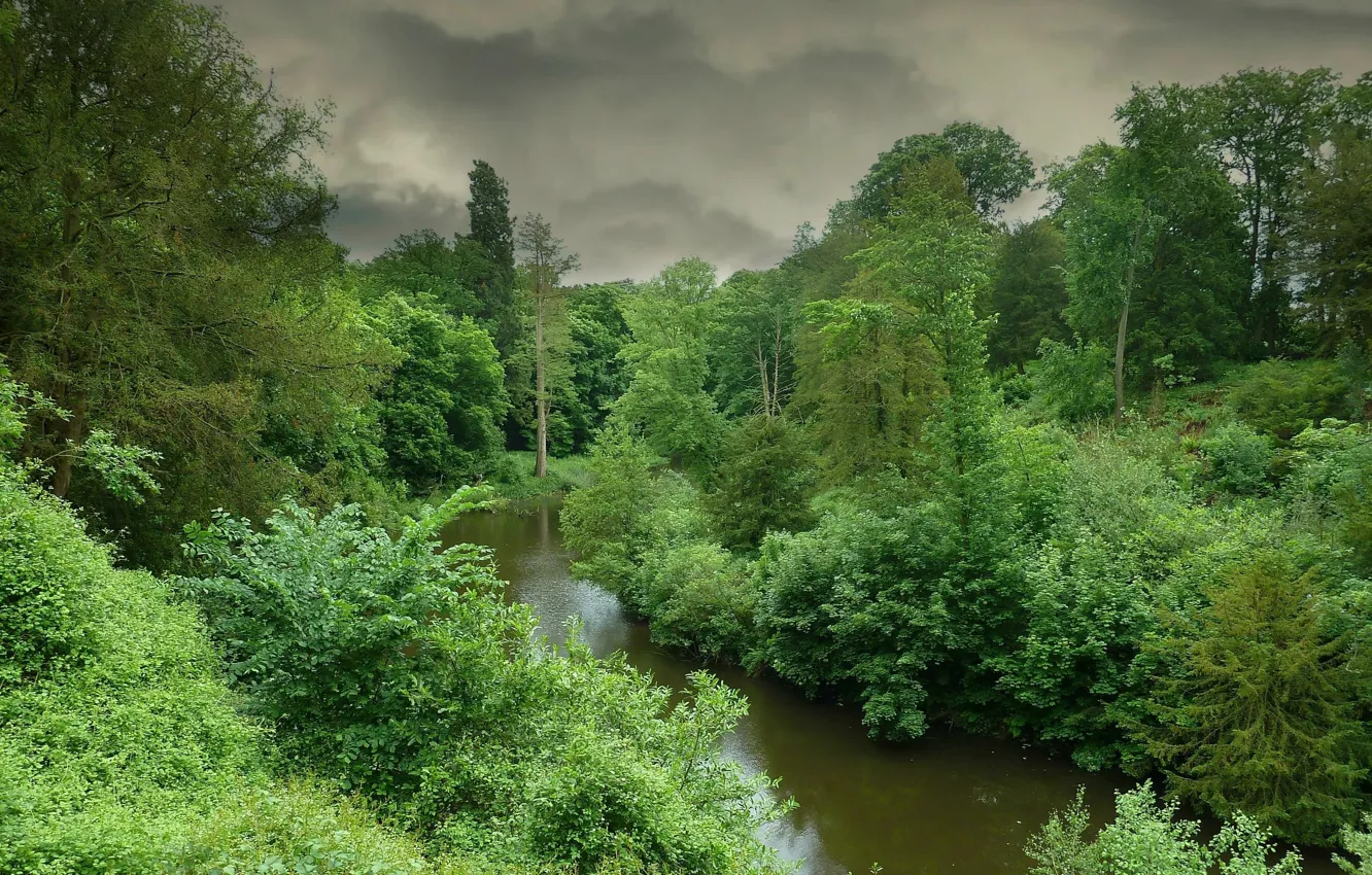 Фото обои шторм, river, forest, природа, storm, Nature, зелень, green