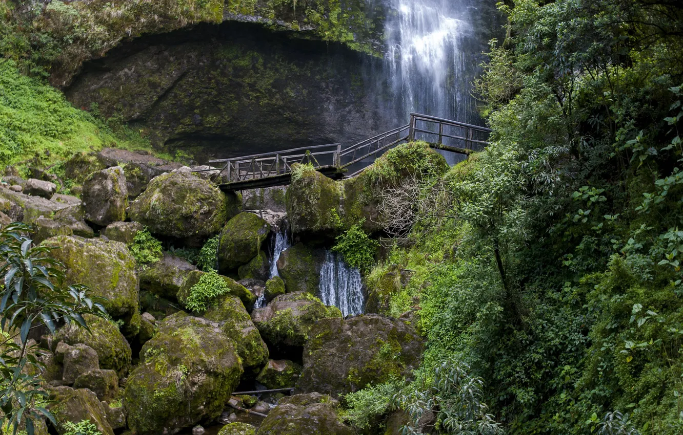 Фото обои деревья, мост, камни, высота, водопад