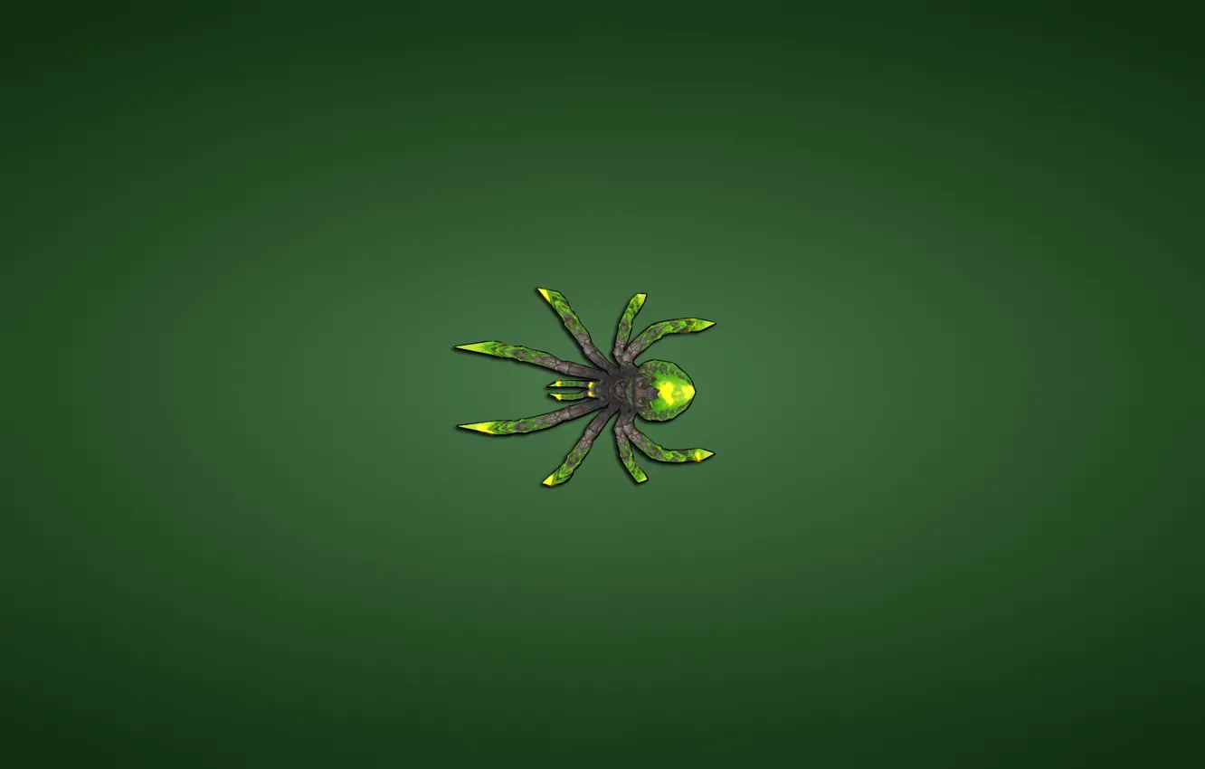 Фото обои зеленый, минимализм, паук, spider