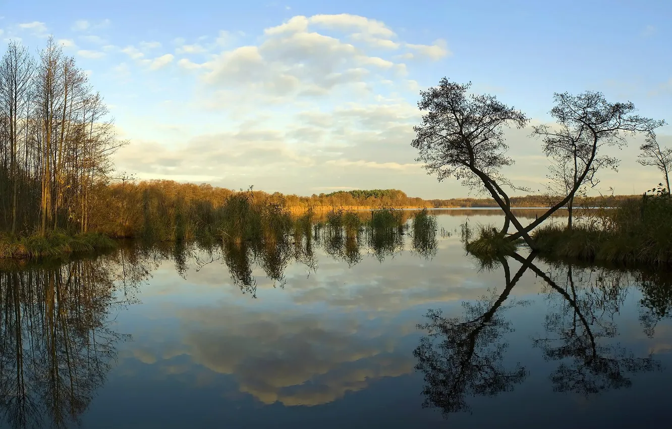 Фото обои деревья, природа, озеро, отражение, неба