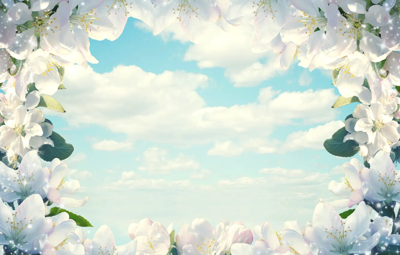 Фото обои небо, облака, цветы, весна, рамка, Larisa Koshkina