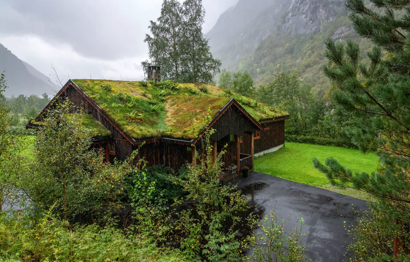 Фото обои дорога, зелень, трава, деревья, горы, тучи, дом, дождь