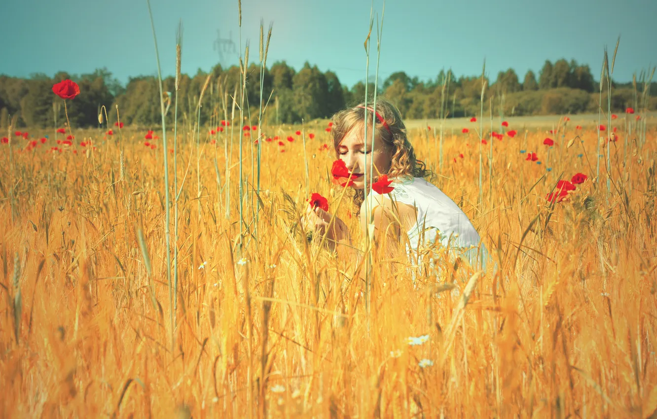 Фото обои поле, лето, небо, девушка, солнце, цветы, природа, тепло