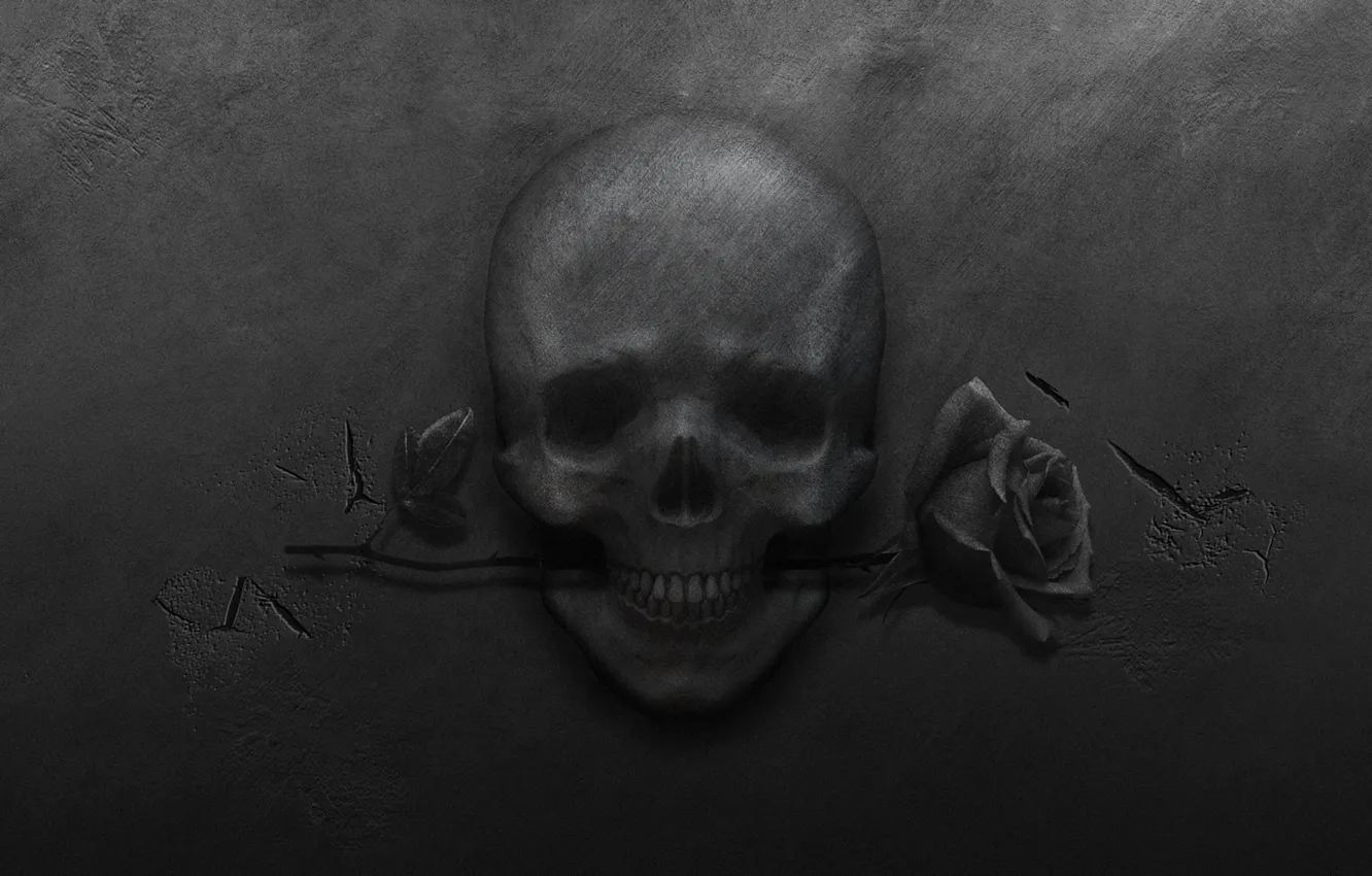 Фото обои металл, трещины, роза, череп, черный фон