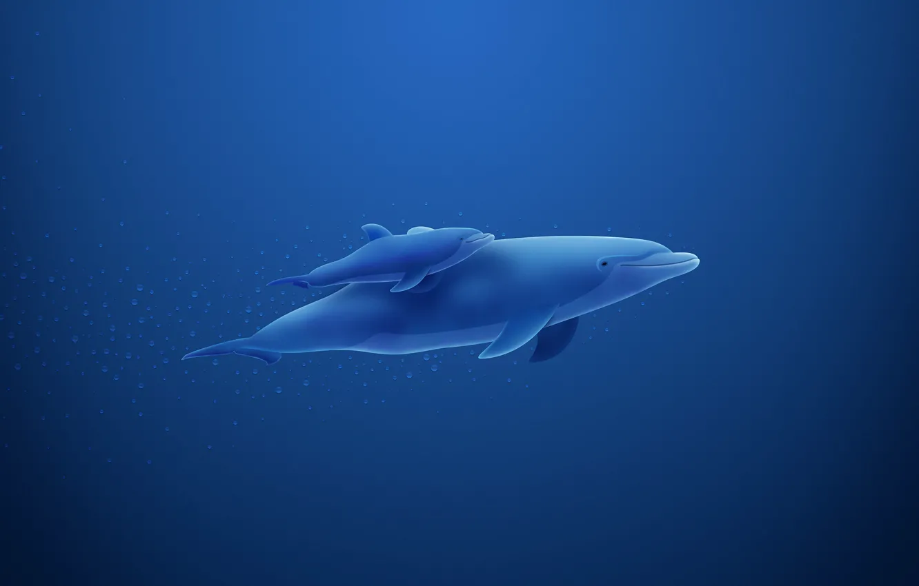 Фото обои синий, дельфин, пузыри