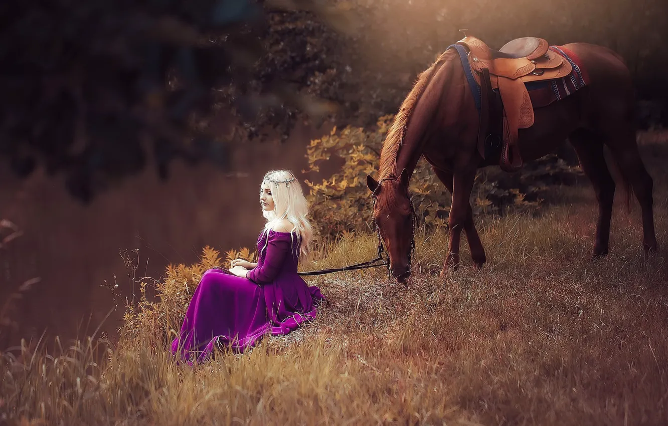 Фото обои девушка, природа, конь