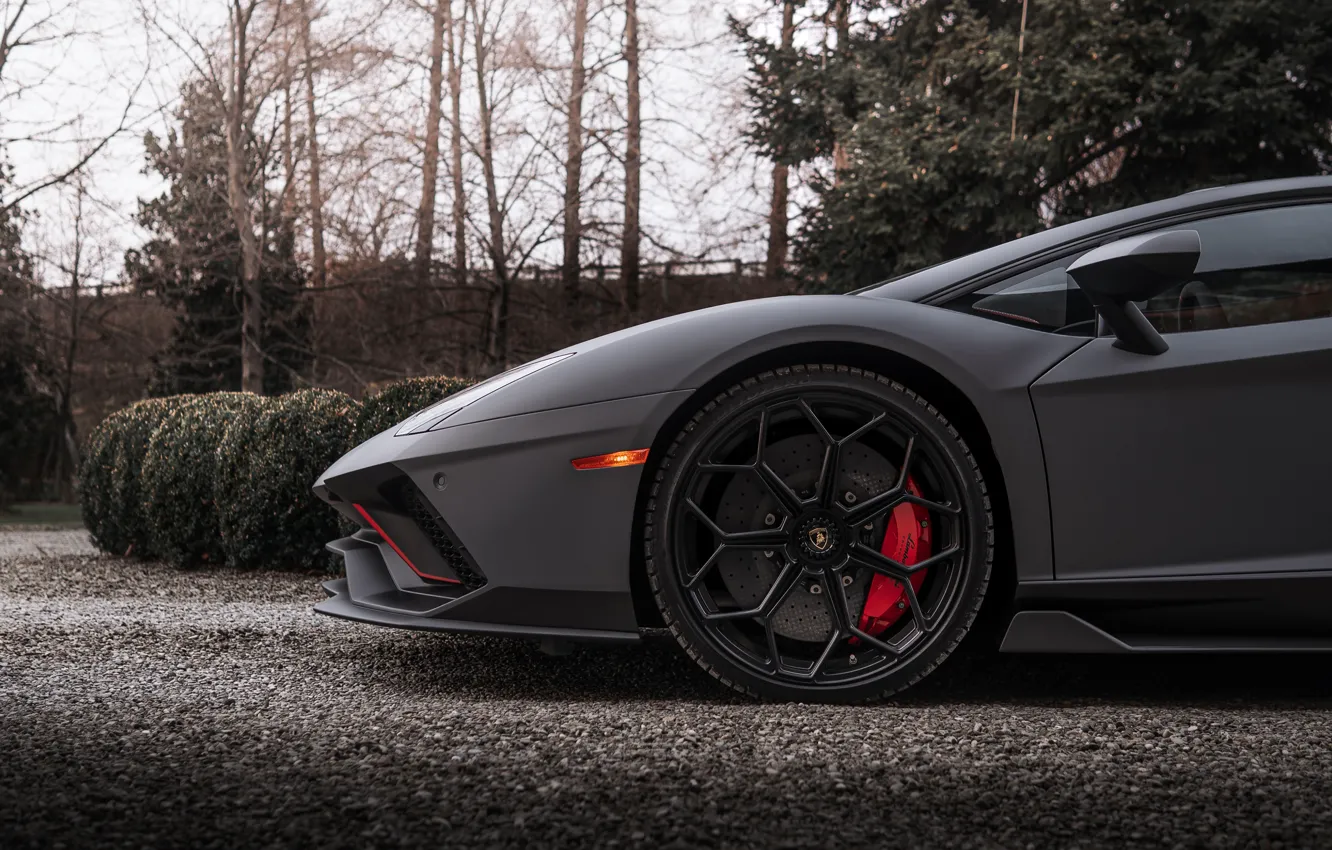 Фото обои Lamborghini, вид сбоку, Aventador, 2022, Lamborghini Aventador LP 780-4 Ultimae, LP 780-4, Ultimae