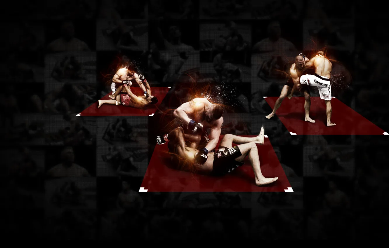 Фото обои бойцы, mma, чемпионы, ufc, fighters, смешанные боевые искусства, georges st-pierre, brock lesnar