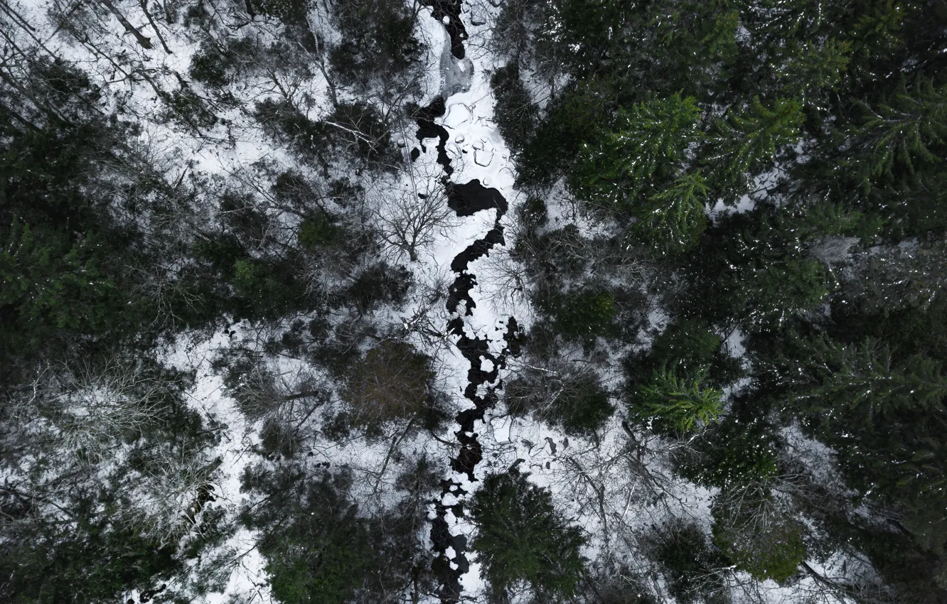 Фото обои зима, лес, снег, деревья, пейзаж, природа, река, вид сверху
