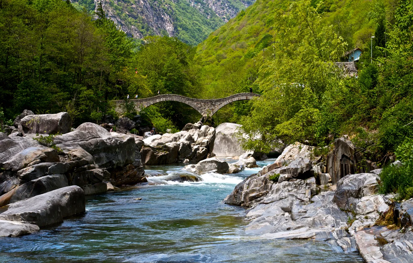 Фото обои зелень, лес, деревья, горы, мост, река, камни, Швейцария