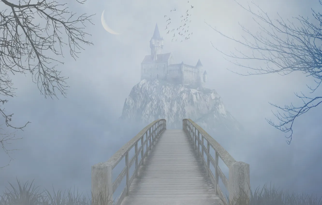 Фото обои трава, деревья, птицы, мост, туман, скала, замок, мрак