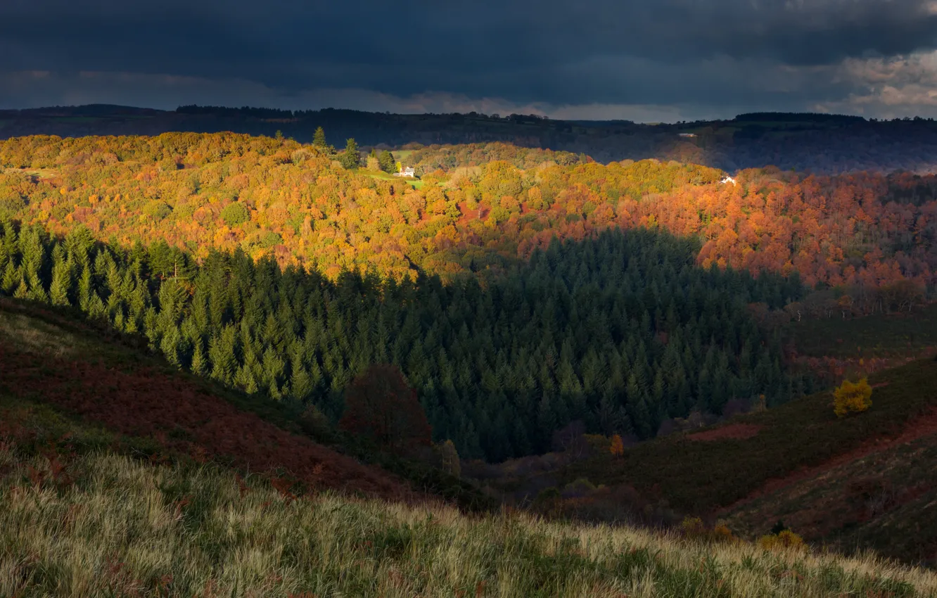 Фото обои осень, лес, небо, деревья, тучи, холмы, Англия, вечер