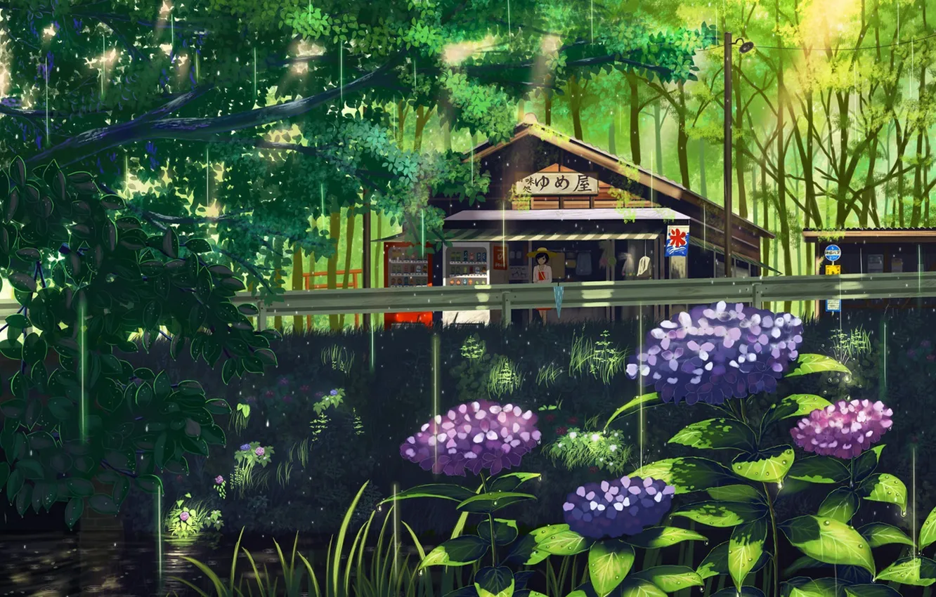 Фото обои лес, девушка, деревья, цветы, мост, природа, река, шляпа