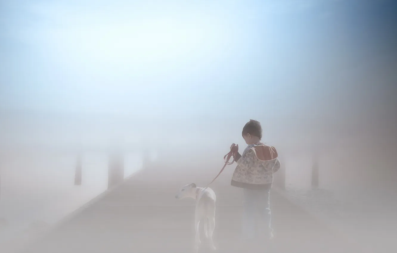 Фото обои туман, собака, мальчик
