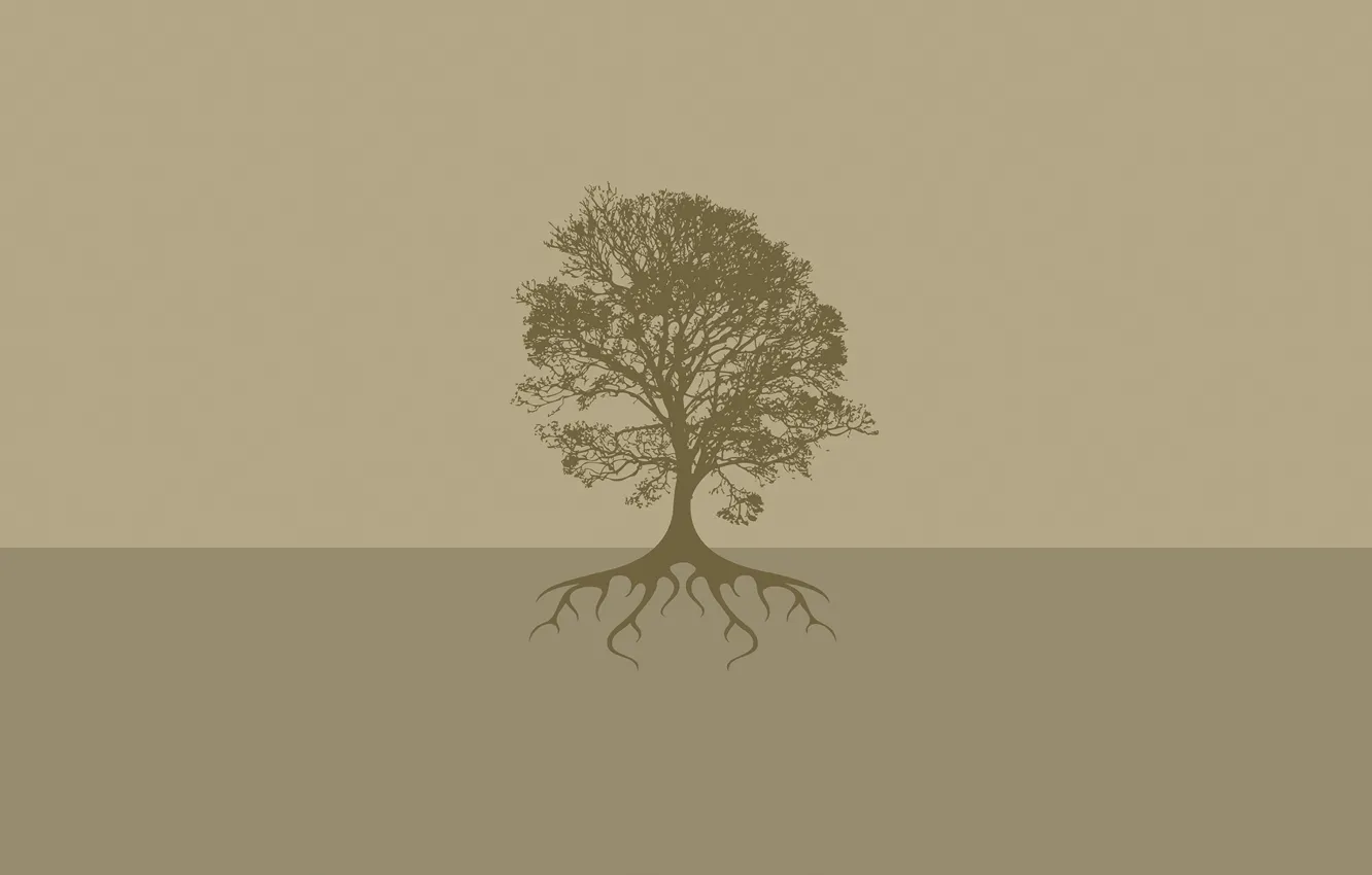 Фото обои корни, фон, дерево, земля