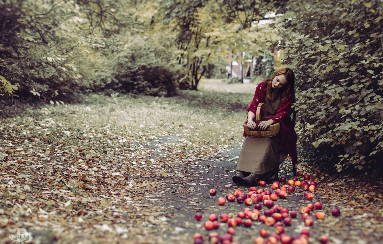 Фото обои девушка, природа, яблоки