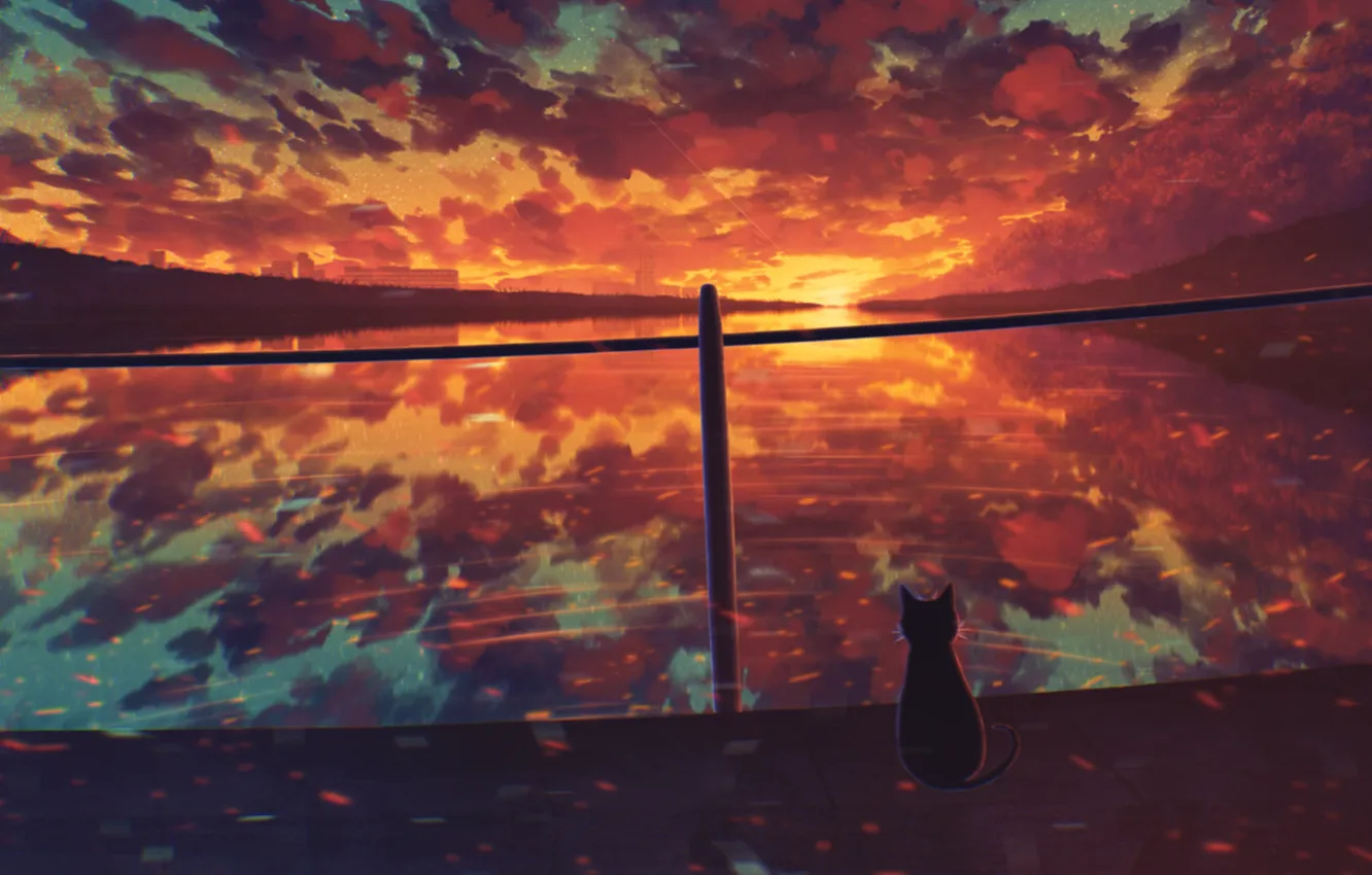 Фото обои кошка, вода, закат, by Miloecute