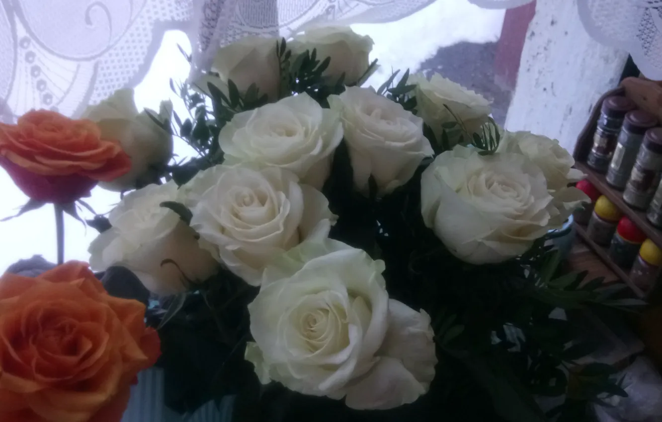 Фото обои цветы, Розы, белые