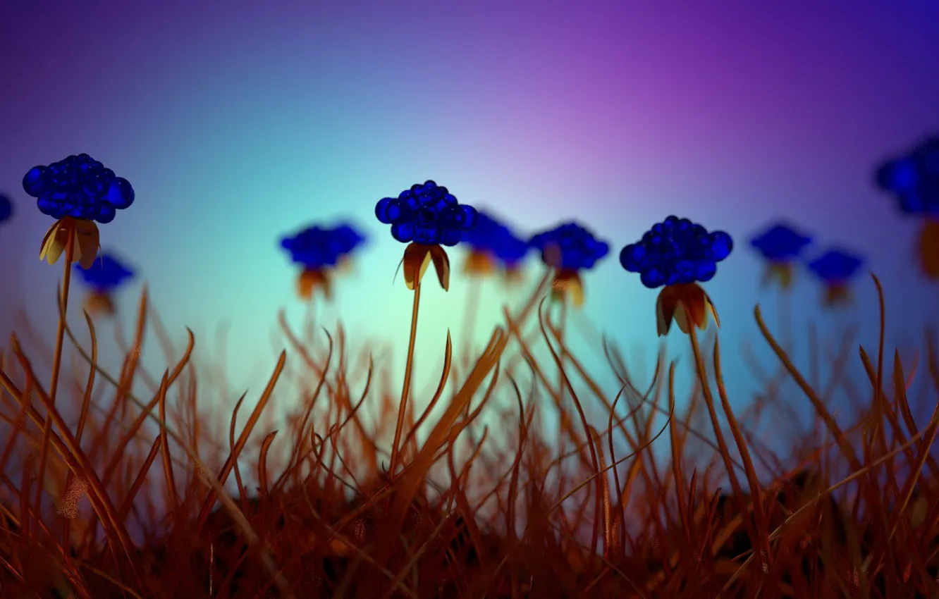 Фото обои трава, стекло, синие цветы