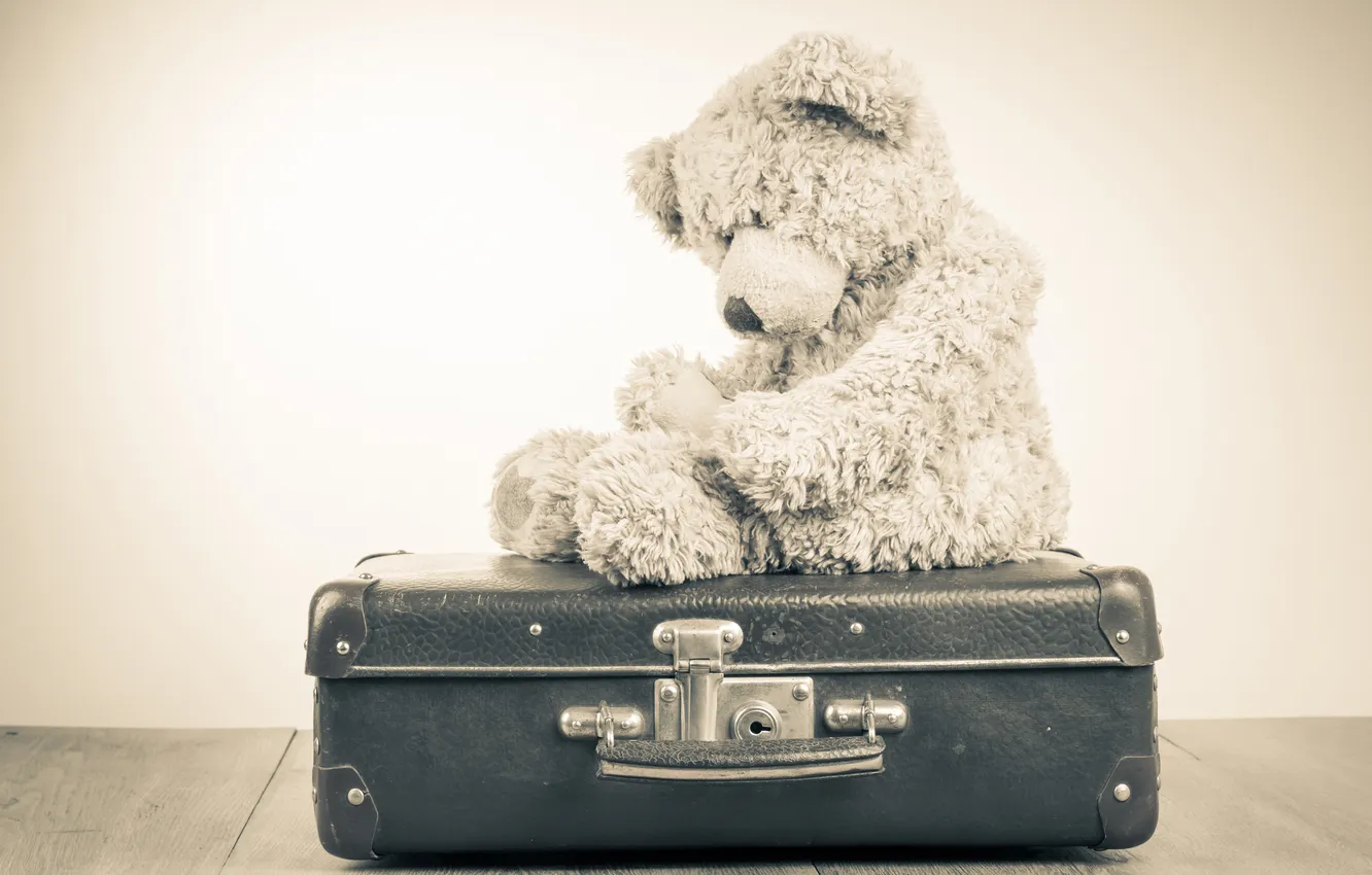 Фото обои грусть, одиночество, игрушка, медведь, мишка, чемодан, toy, bear