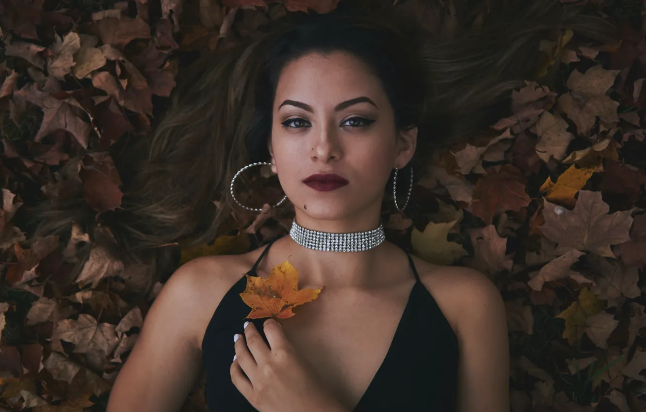 Фото обои взгляд, украшения, листва, вид сверху, look, beautiful woman, foliage, jewelry