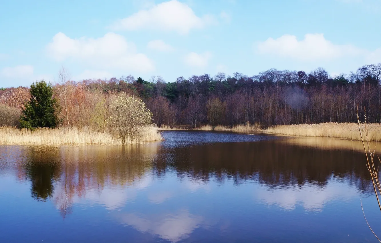 Фото обои water, park, lake