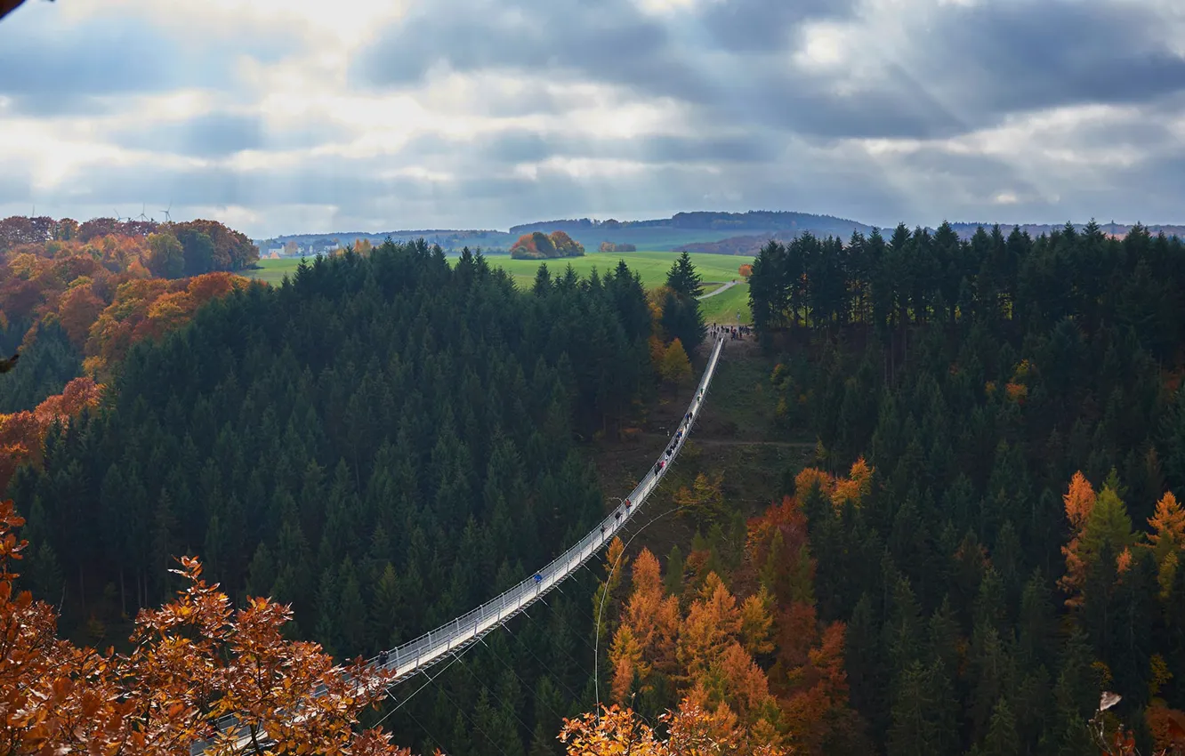 Фото обои Германия, подвесной мост, Geierlay, Рейнланд-Пфальц