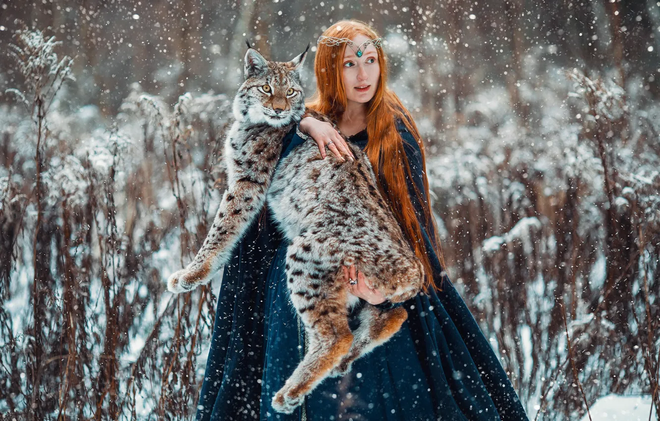 Фото обои зима, девушка, животное, хищник, рыжая, рысь, Александра Савенкова