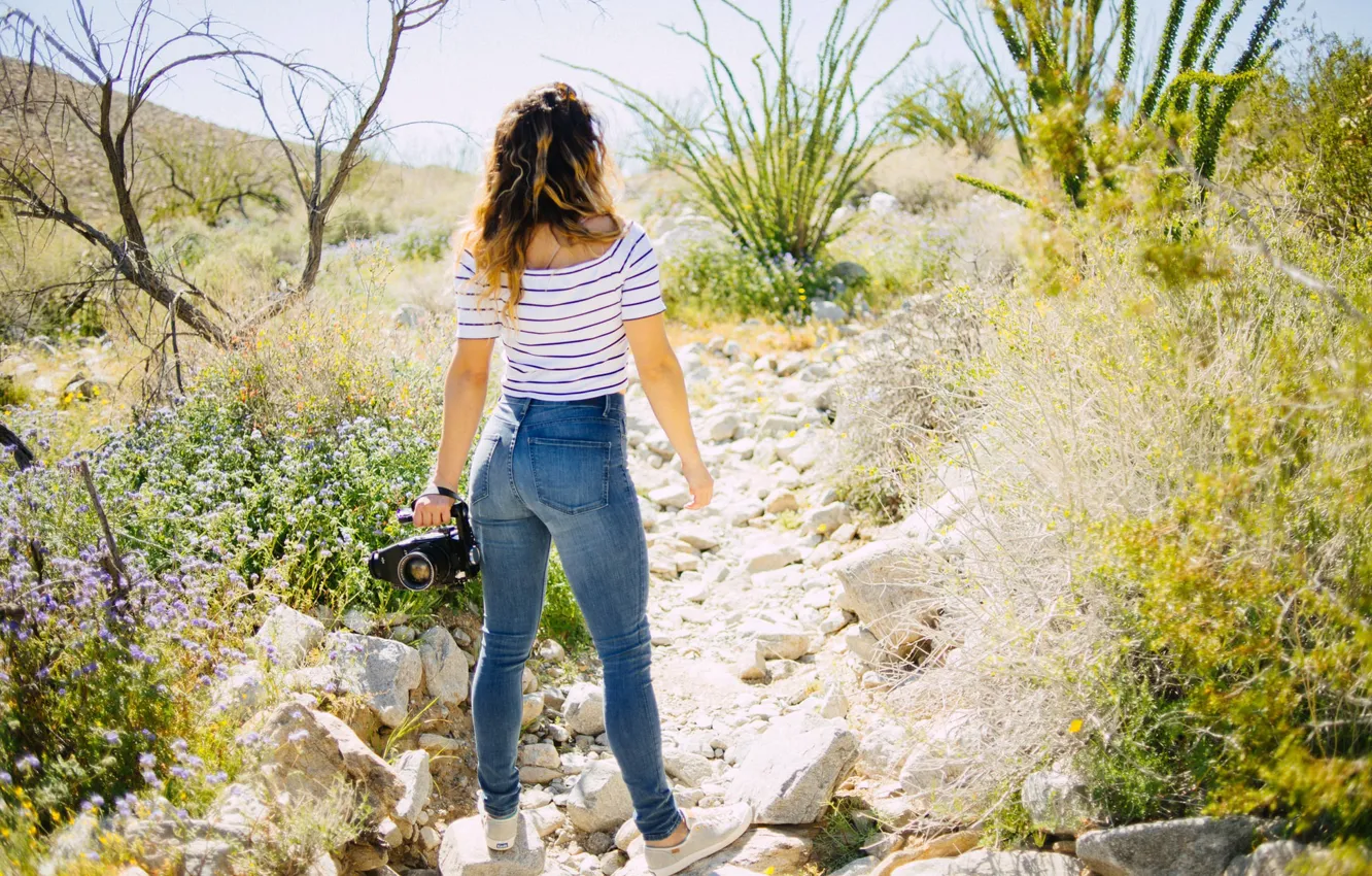 Фото обои девушка, солнце, цветы, природа, камни, спина, джинсы, фотоаппарат