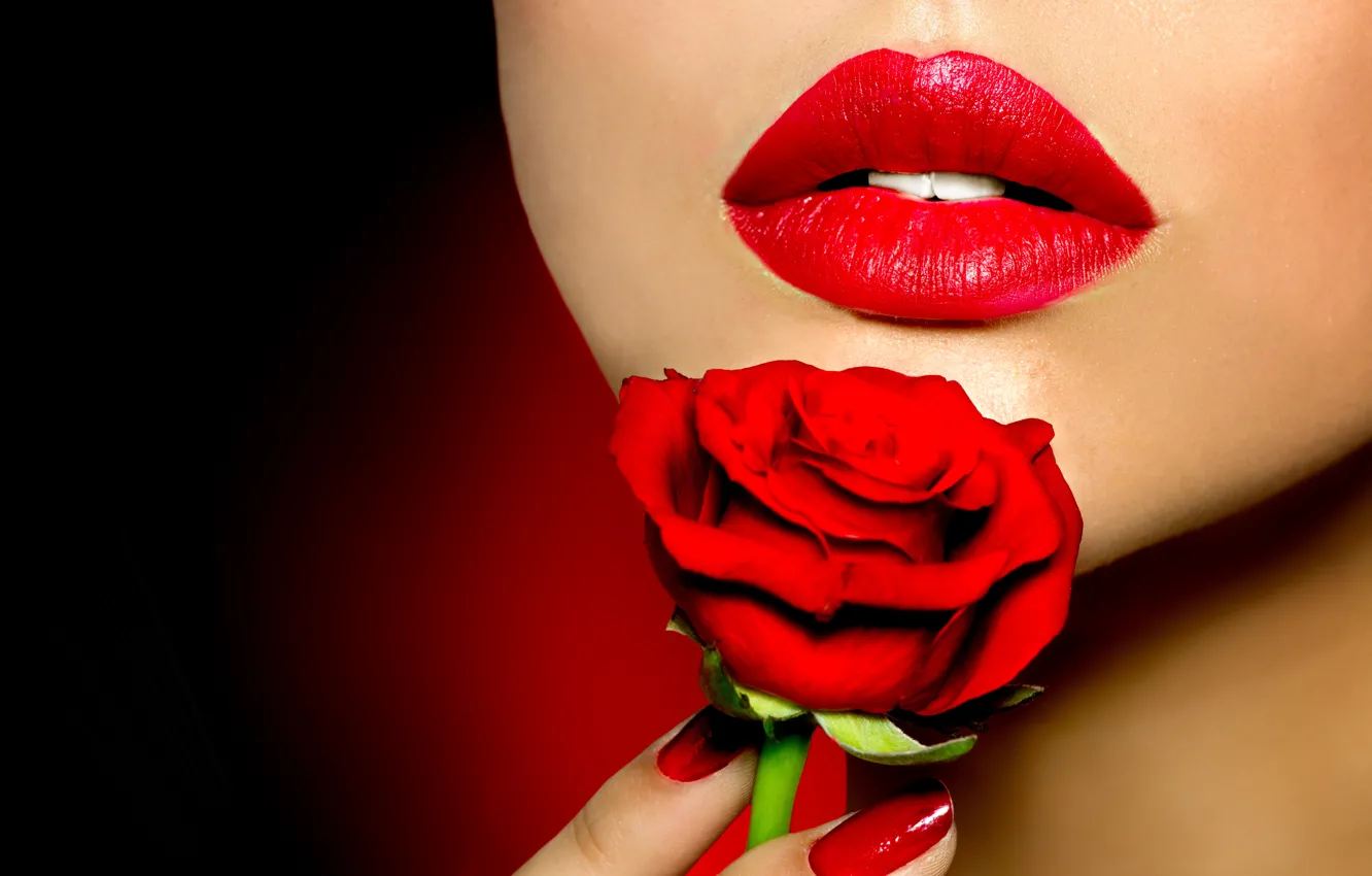 Фото обои цветок, лицо, стиль, роза, помада, губы