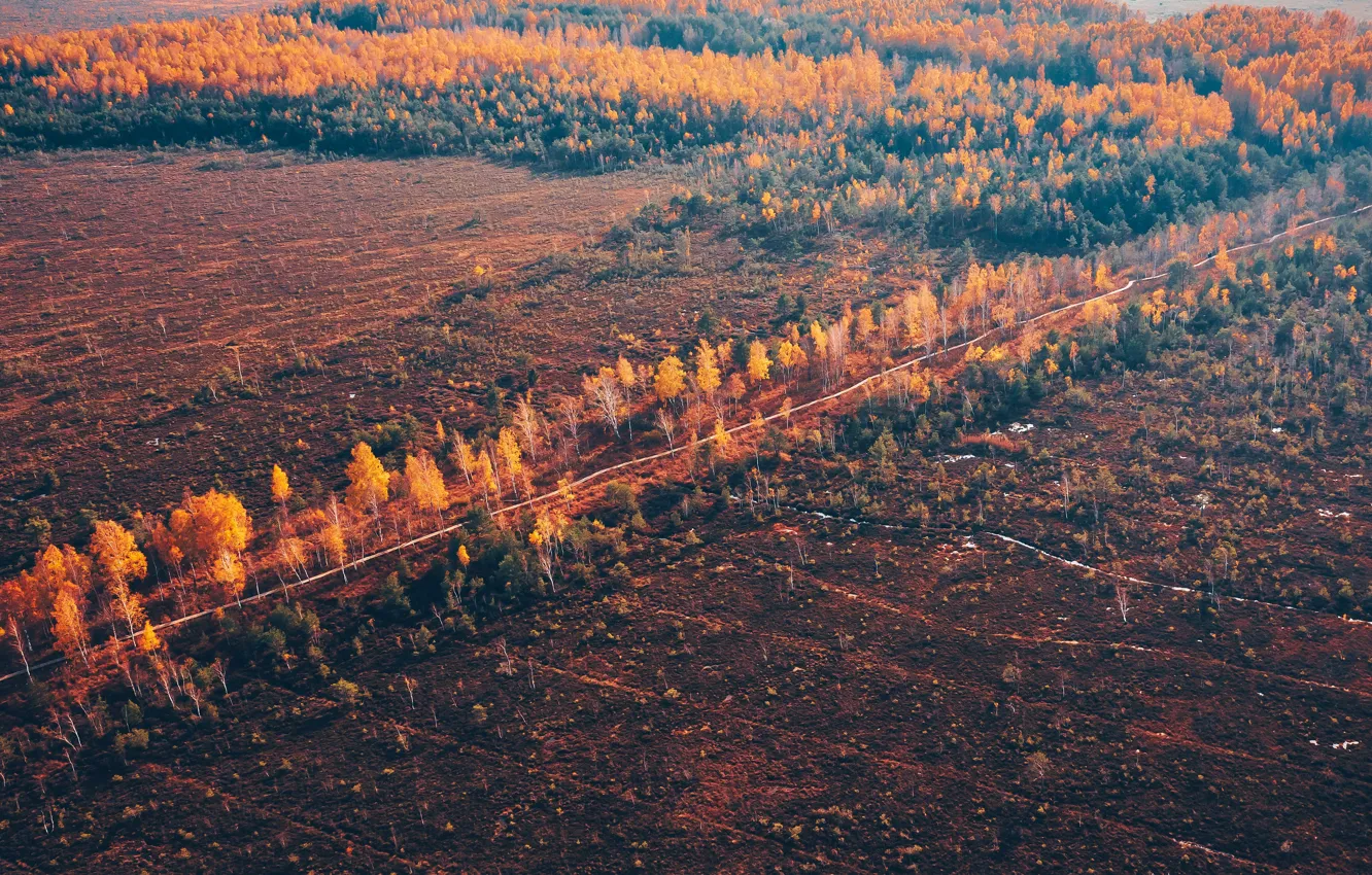Фото обои поле, осень, природа