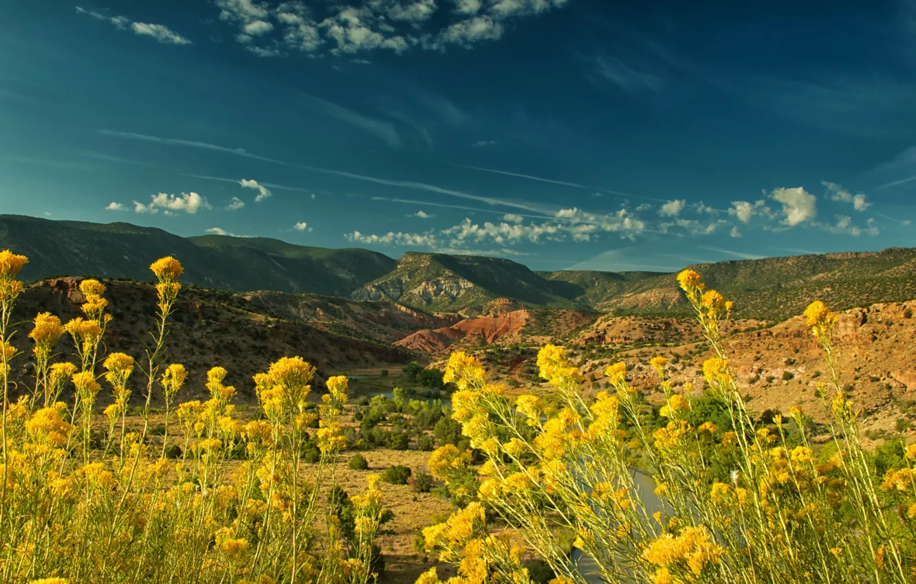 Фото обои небо, солнце, цветы, горы, река, желтые, долина, США
