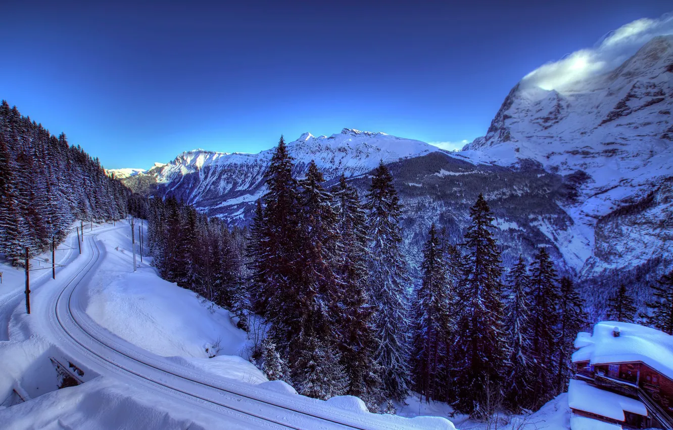 Фото обои зима, снег, деревья, горы, природа, Швейцария, ели, Альпы