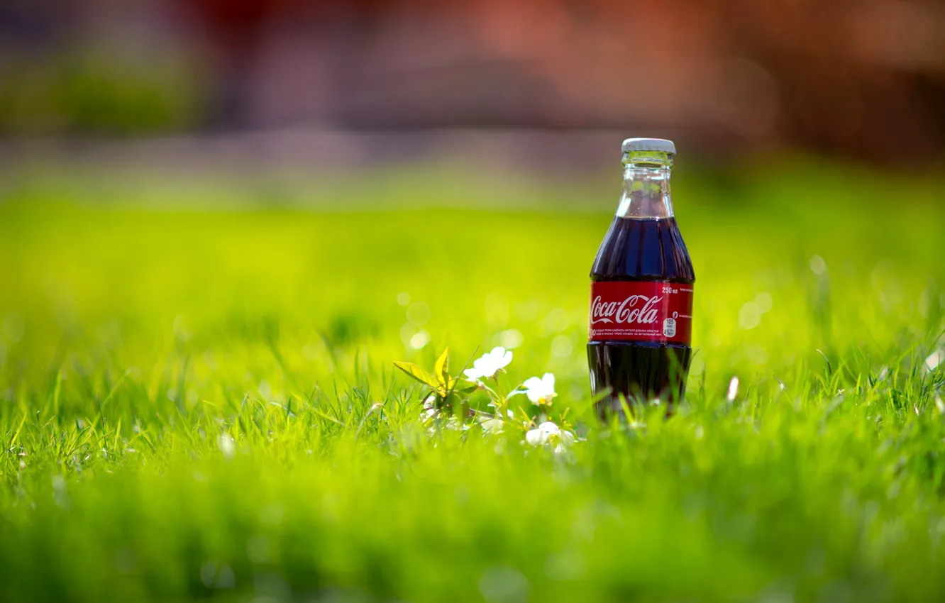 Фото обои трава, макро, природа, бутылка, весна, напиток, Coca-Cola, Кока-Кола