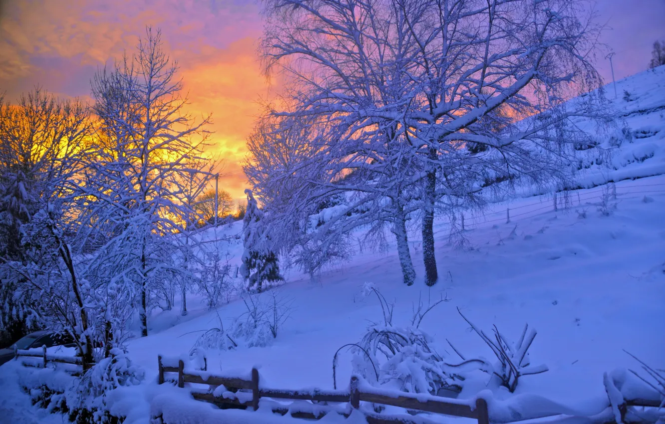 Фото обои зима, снег, деревья, закат, сказка, вечер, Pascal Laurent