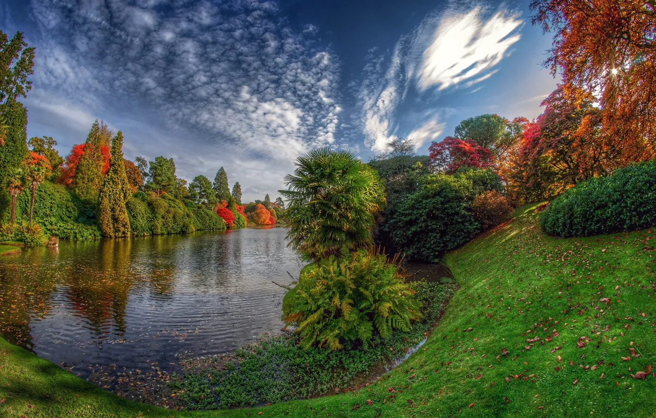 Фото обои осень, озеро, США, Sheffield Lake