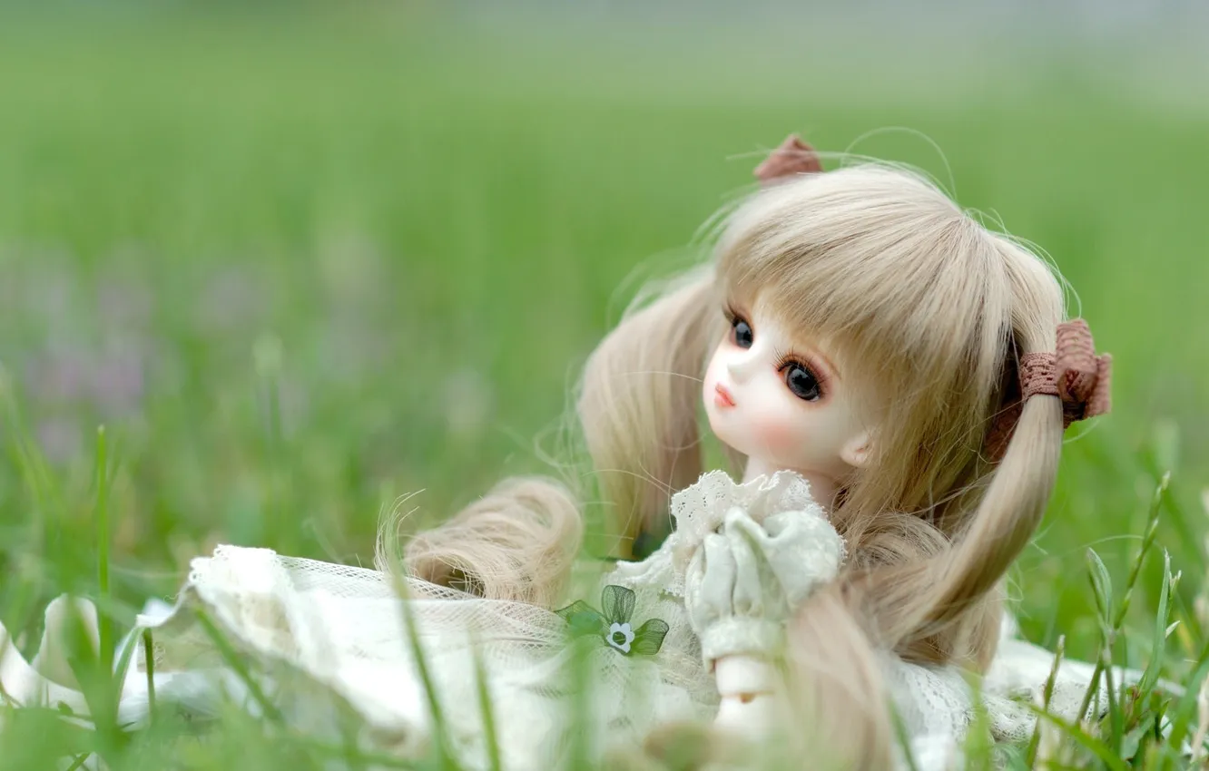 Фото обои трава, игрушка, кукла, платье, сидит, хвостики